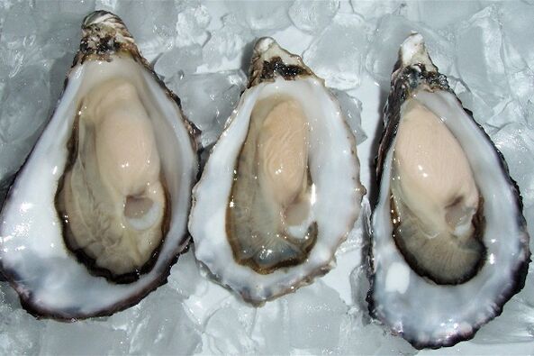 Oysters to improve male health