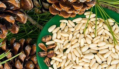 cedar nuts to improve power